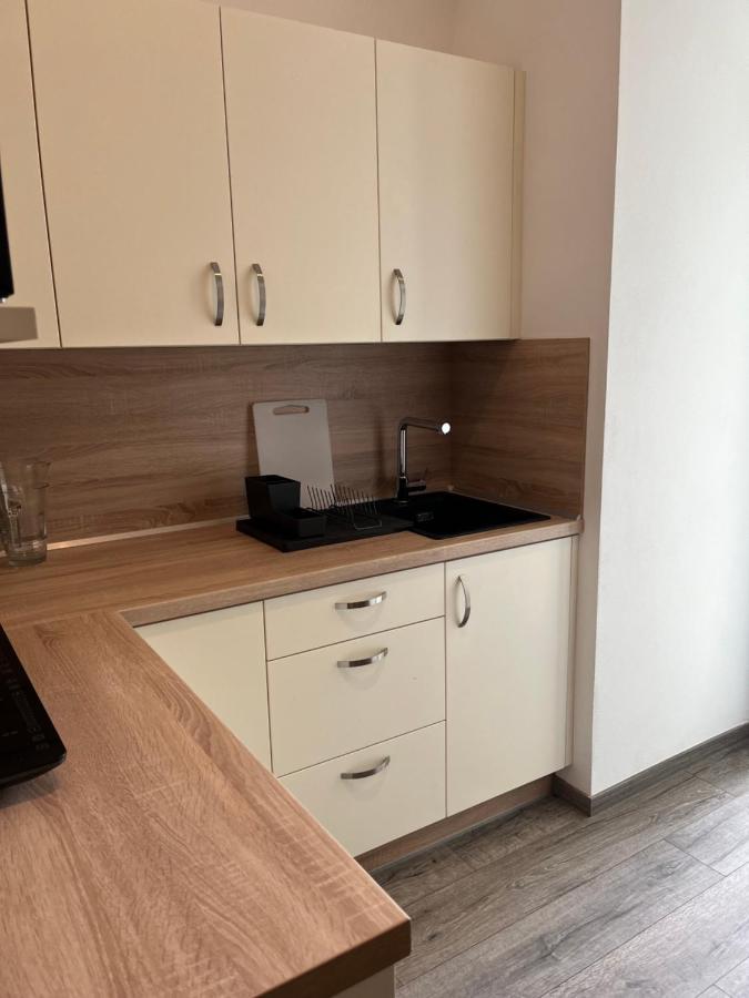 Moderni Apartman Uprostred Sumavske Prirody Zdikovec Eksteriør bilde